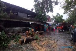 Hujan Deras, Pohon Tumbang Melintang di Jl. Tentara Pelajar Solo