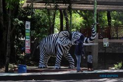 Pengelola TSTJ Solo Ngaku Sengaja Cat Patung Gajah Warna Zebra Biar Viral