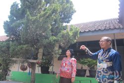 Lempari Sarang dengan Kerikil, 4 Siswa SMP Trucuk Klaten Disengat Tawon Vespa
