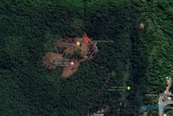 Citra Satelit Sakura Hills Lawu Karanganyar Berwarna Cokelat, Ini Kata Relawan