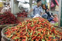 Duh, Harga Cabai Rawit Merah di Jakarta Tembus Rp120.000 Per Kilogram