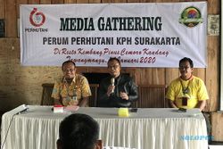 Buntut Perusakan Hutan di Karanganyar, Perhutani Tolak Kerja Sama Baru