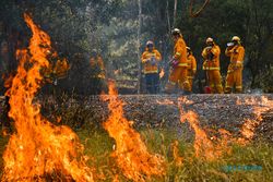 10 Juta Orang Terjebak Api Kebakaran Hutan Australia?