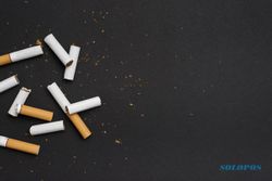 Konsumsi Perokok Meningkat, HM Sampoerna Jual 86,8 Miliar Rokok pada 2022
