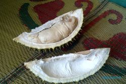 Ragam Kuliner Durian Manis nan Legit