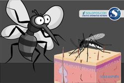 Sejarah Hari Ini: 15 Juni 2010, Hari Demam Berdarah Dengue ASEAN