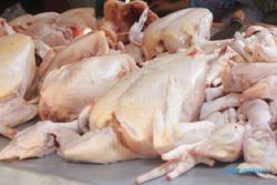 Harga Daging Ayam Jateng Rp31.053/Kg, Ini Daftar Lengkapnya di Wilayah Soloraya