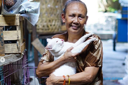 Cerita Mbah Sendang, Pedagang Pasar Jongke Solo Pelihara Puluhan Kucing Telantar