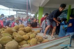 Ada Festival Durian di Terminal Tirtonadi Solo, 100 Buah Dibagikan Gratis