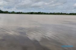 Petani Rugi Besar, 373 Ha Lahan Padi di Sukoharjo Puso Terendam Banjir