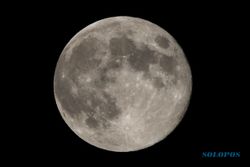 Worm Full Moon Alias Bulan Besar Cacing Tampak Besok