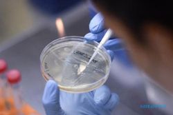 89 Laboratorium Mampu Uji PCR, Indonesia Siap Tes Massal Covid-19?