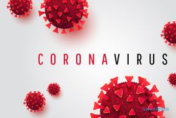 WHO: Virus Corona 10 Kali Lebih Mematikan Dibanding Flu Babi
