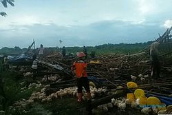 2 Kecamatan di Sragen Disapu Angin Puting Beliung, Rumah dan Kandang Ayam Rusak