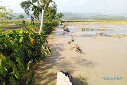 Tanggul Jebol Banjiri Sawah Di Sukoharjo, Lagi-Lagi Sungai Situri