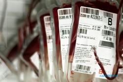 Jumlah Darah Capai 1.430 Kantong, Cek Stok Darah di PMI Solo Selasa 9 Mei 2023