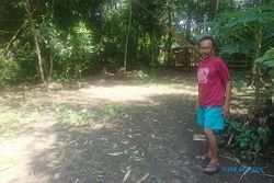 Dusun di Sragen Ini Dulunya Arena Sabung Ayam Terkemuka Pada Masa Keraton Solo