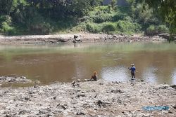 Diduga Tercemar Limbah Pabrik, Sungai Bengawan Solo Berwarna Hitam
