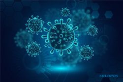 Mengungkap Fakta Virus Nipah, Mungkinkah Jadi Sumber Pandemi Baru?