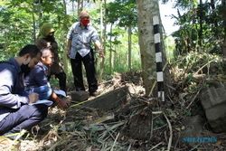 Reruntuhan Candi Ditemukan Tersebar di Tegalan Desa Mranggen Jatinom Klaten, Ditutupi Lumut