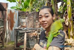 Bisnis Ternak Iguana Menjanjikan, Pria Madiun Pun Rela Resign dari Kerjaan