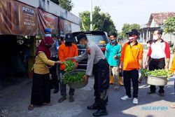 Panen Perdana, Sukarelawan Kampung Tangguh Patihan Sragen Bagikan Sayur-Mayur Gratis