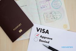 Pendapatan Negara Bukan Pajak Imigrasi Tembus Rp4 Triliun, Tertinggi dari Visa