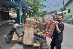 Pasar Cokro Kembang Klaten Ditutup Gegara Covid-19, Pedagang Burung Kecele