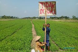 Lahan Tak Cocok untuk Bertani, Beberapa Warga Bonagung Sragen Jual Sawah ke Investor Pabrik Sepatu