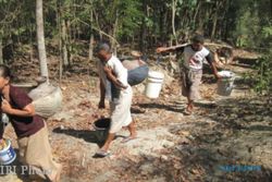 Gawat! 44 Desa di Ngawi Alami Kekeringan, Krisis Air Bersih
