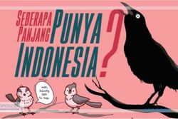 Infografis Ukuran Mr P Pria di Dunia, Seberapa Panjang Indonesia?