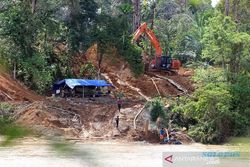 Hutan Lindung di Aceh Barat Terancam Penambangan Emas Ilegal