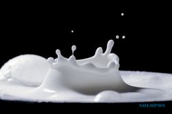 Susu Vital bagi Imunitas, Ampuh saat Pandemi?