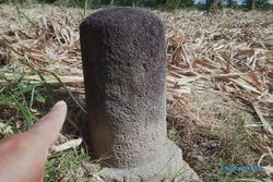 Lingga Patok Diduga Peninggalan Mataram Kuno Ditemukan di Lahan Tebu di Klaten
