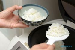 Agar Tidak Cepat Basi dan Kering, Berikut Tips Menanak Nasi di Rice Coocker