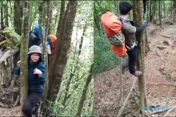 Pendaki Panjat Pohon Gara-Gara Dikejar Babi Hutan, Netizen Ngakak Online