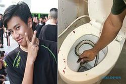 Ngeri! Penis Pemuda Ini Digigit Piton saat Buang Hajat di Toilet Rumahnya