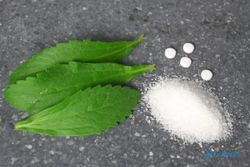 Manfaat dan Efek Samping Mengonsumsi Stevia