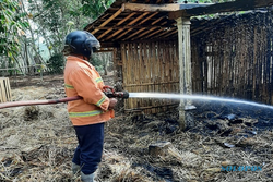 Tiga Kebakaran Kandang Ternak Terjadi selama 8 Hari di Wonogiri, Penyebabnya Sama?
