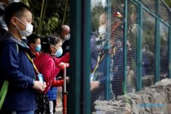 Beruang Serang Petugas Kebun Binatang di China, Terekam Pengunjung