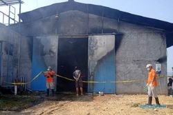 Kandang Ayam Milik Ketua DPRD Grobogan Terbakar, Kerugian Miliaran