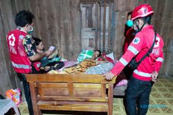 Korban Gigitan Ular Bandotan di Sragen Membaik Setelah Dirawat, Panji Petualang: Penanganannya Telat!