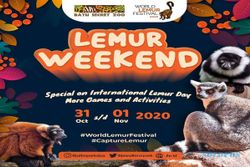 Tawarkan Liburan Seru Sambil Belajar tentang Fauna, Batu Secret Zoo Gelar Lemur Weekend