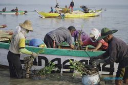 Menghijaukan Sekaligus Dukung Pemulihan Ekonomi, BPDASHL Solo Tanam 330.000 Mangrove di Gresik