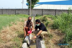 Plt Bupati Sragen Temukan Penyimpangan Pengolahan Limbah PT BATI