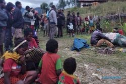 DPR Desak Pemerintah Akhiri Konflik dengan KKB di Papua