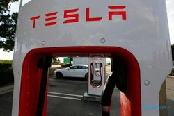 Pupus Harapan, Tesla Batal Produksi Mobil Listrik Murah