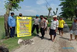 3,5 Jam Geropyokan, 500 Ekor Tikus di Sribit Sragen Mati Ditembak