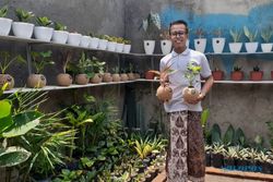 Santri Ponpes di Madiun Sukses Berbisnis Kokedama, Terjual Hingga Luar Jawa