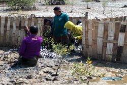 Warga Desa Banyu Urip Antusias Ikuti Program Penanaman Mangrove BPDASHL Solo